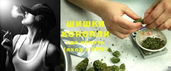 шишки Киренск