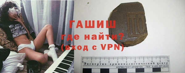 индика Киреевск
