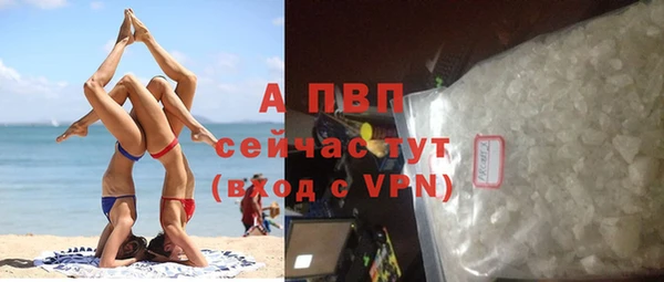 индика Киреевск
