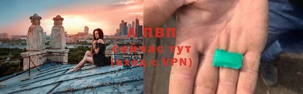 индика Киреевск