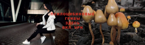 шишки Киренск