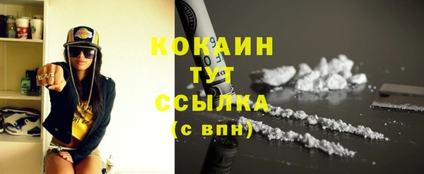 индика Киреевск