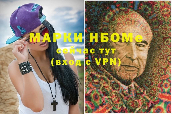 индика Киреевск