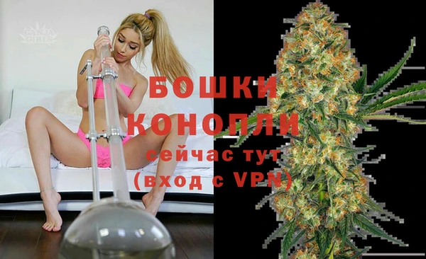 шишки Киренск