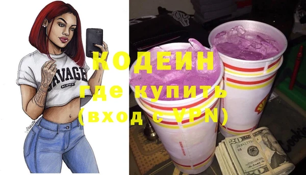 шишки Киренск