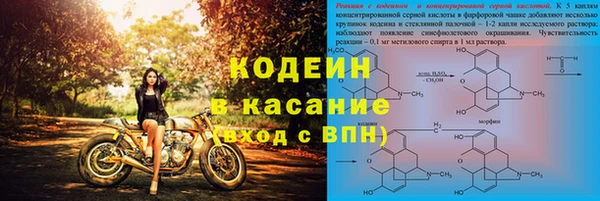 индика Киреевск