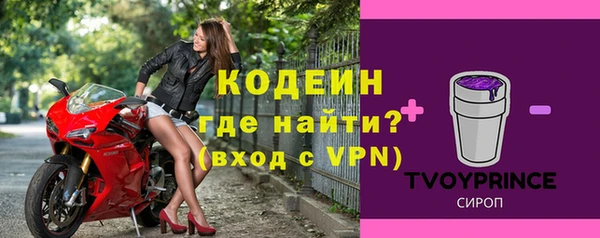 шишки Киренск