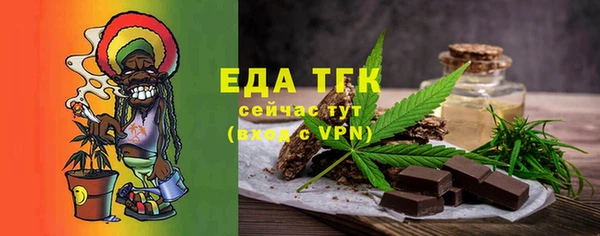 индика Киреевск