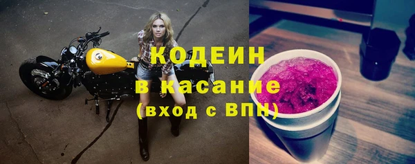 шишки Киренск