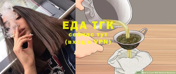 индика Киреевск