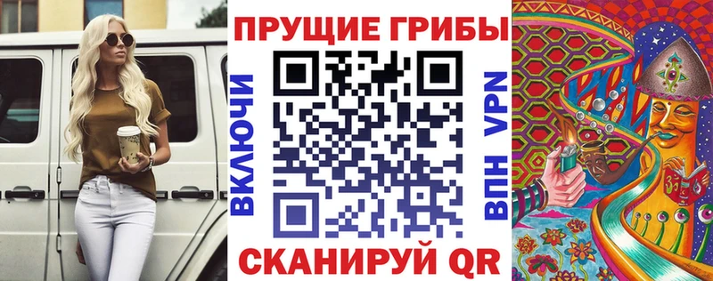 Галлюциногенные грибы MAGIC MUSHROOMS  Купить закладки  Нижний Тагил 